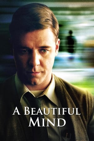 A Beautiful Mind 2001 Hindi Dual Audio 450MB