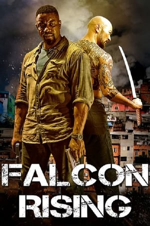 Falcon Rising (2014) Hindi Dual Audio 300MB