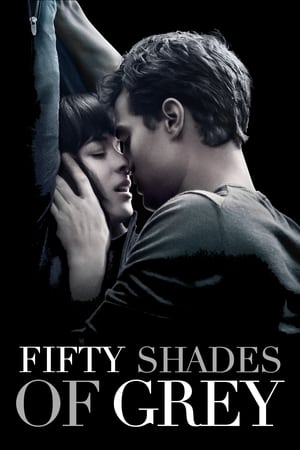 Fifty Shades of Grey 2015 Hindi Dual Audio 400MB