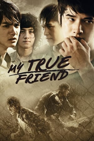 Friends Never Die (2012) Hindi dual Audio 340MB