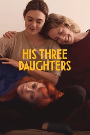 His Three Daughters 2024 Hindi (ORG 5.1) Dual Audio – 720p – 480p