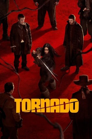 Tornado (2025) Hindi (MULTI AUDIO) – – 1080p